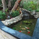 Lago Artificial para Peixes no Jardim – Modelos