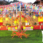 9 Modelos de Decoração de Aniversário Tema Festa Junina