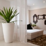 Decoração de Ambientes internos com plantas